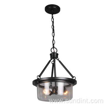 Modern 2-light Black Steel Living Room Pendant Lights